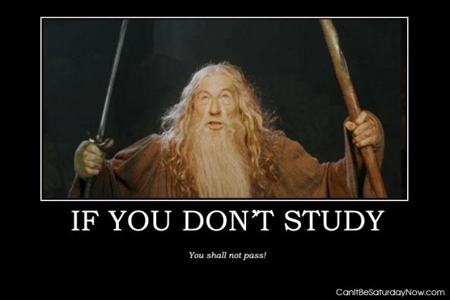 do not study gandalf poster